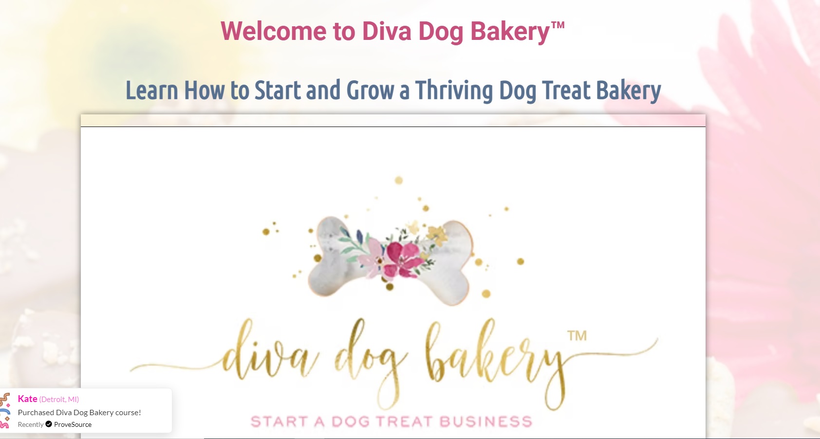 diva dog bakery course